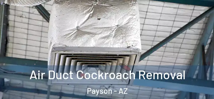  Air Duct Cockroach Removal Payson - AZ