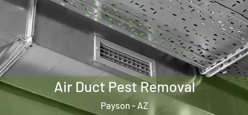 Air Duct Pest Removal Payson - AZ