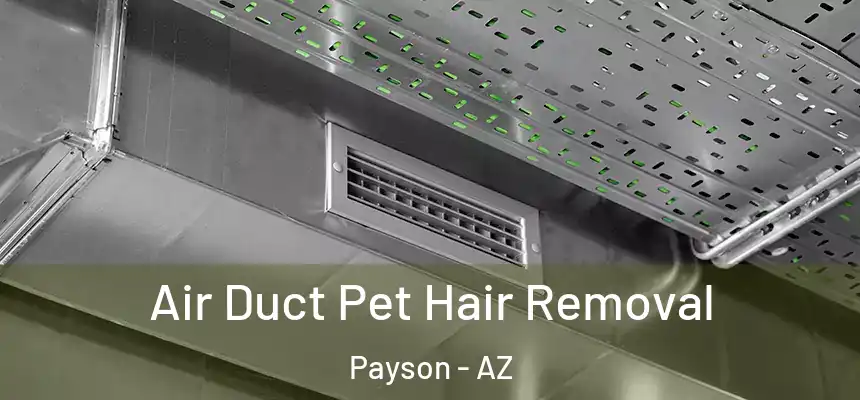  Air Duct Pet Hair Removal Payson - AZ