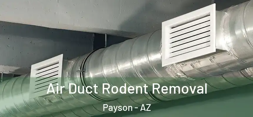  Air Duct Rodent Removal Payson - AZ