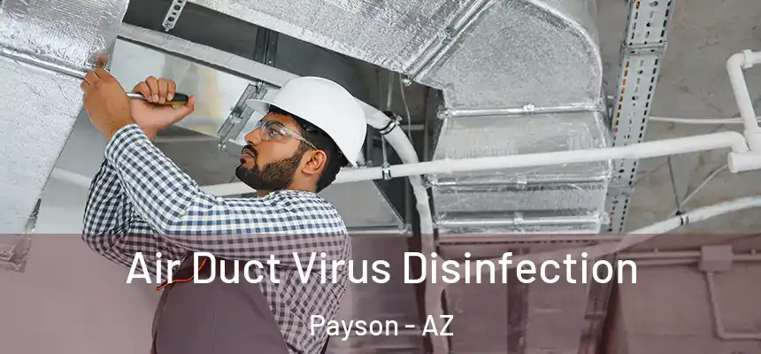  Air Duct Virus Disinfection Payson - AZ