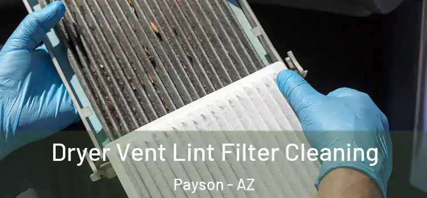  Dryer Vent Lint Filter Cleaning Payson - AZ