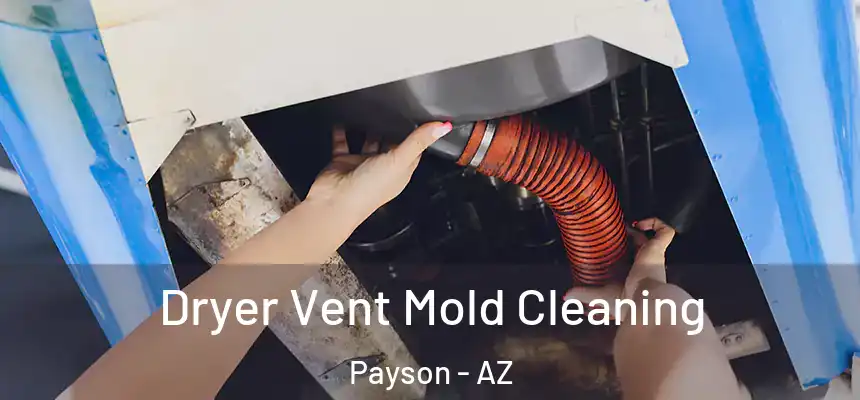  Dryer Vent Mold Cleaning Payson - AZ