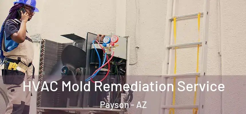  HVAC Mold Remediation Service Payson - AZ