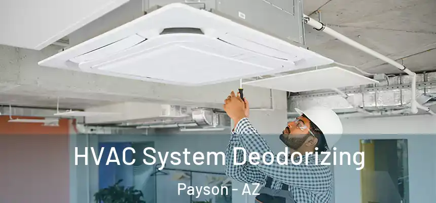  HVAC System Deodorizing Payson - AZ