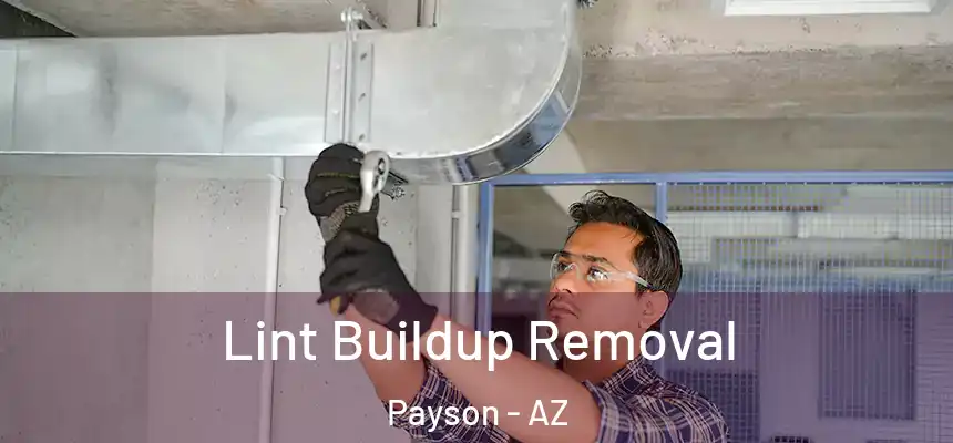  Lint Buildup Removal Payson - AZ