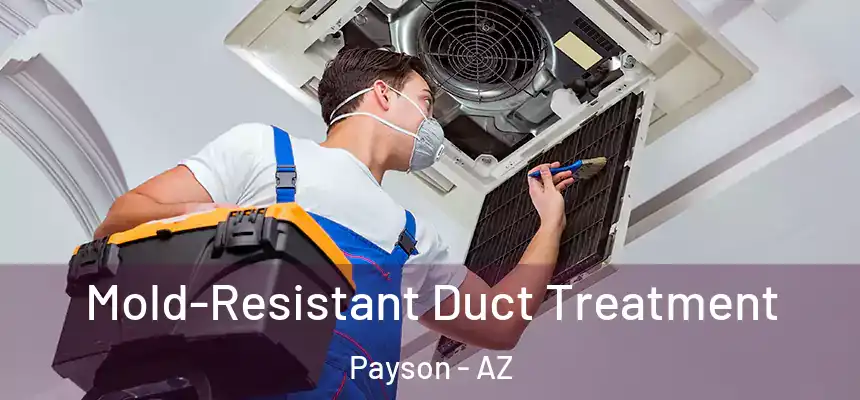  Mold-Resistant Duct Treatment Payson - AZ