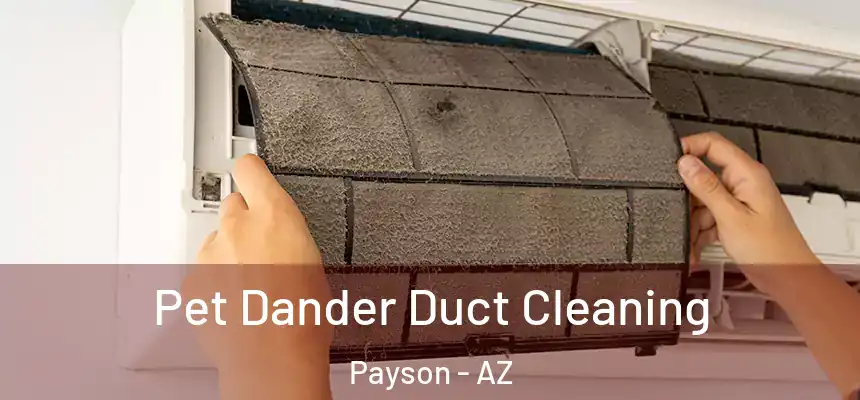  Pet Dander Duct Cleaning Payson - AZ