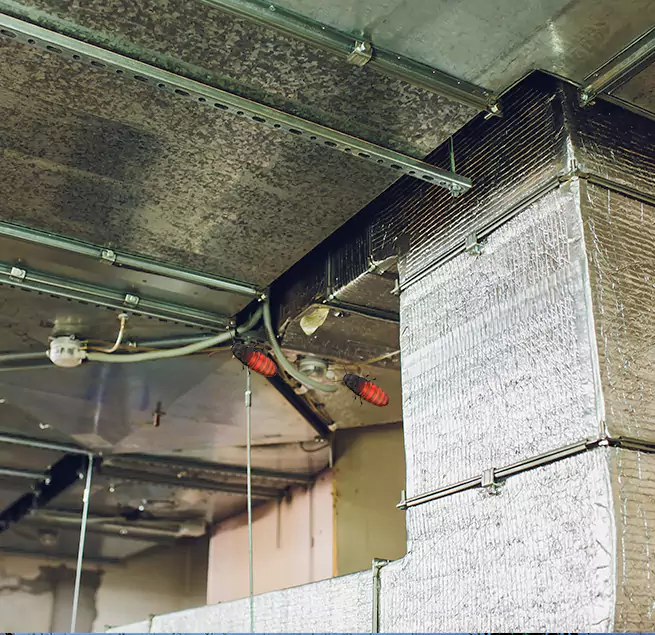 Why Homeowners & Businesses Trust Us in Payson, AZ?